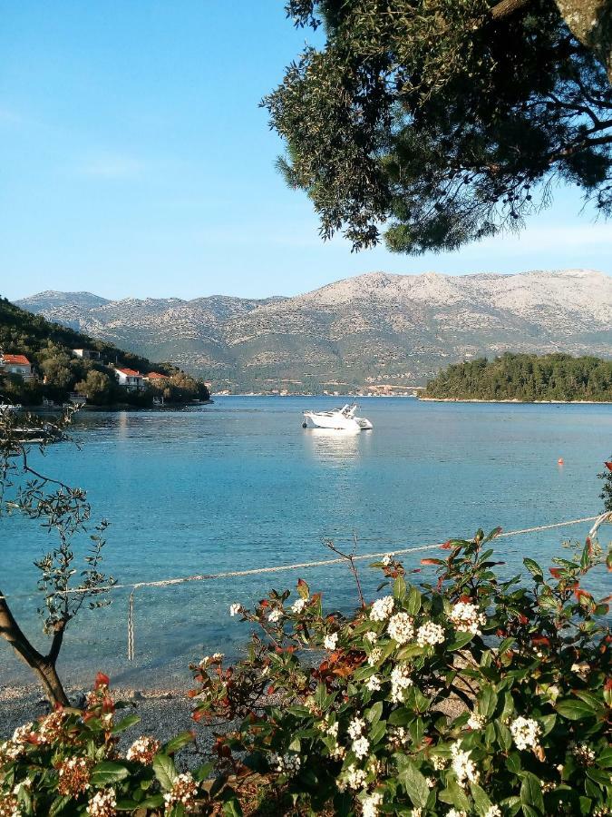 Apartments Milea Korčula Kültér fotó